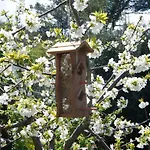 Ecoresort Il Cantico Della Natura Venkovský dům Magione