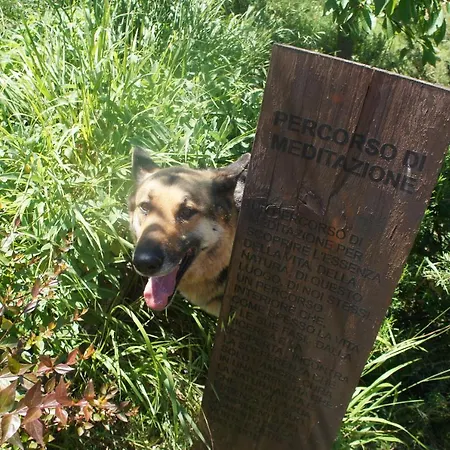 Ecoresort Il Cantico Della Natura * Magione
