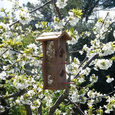 Ecoresort Il Cantico Della Natura Lantställe Magione